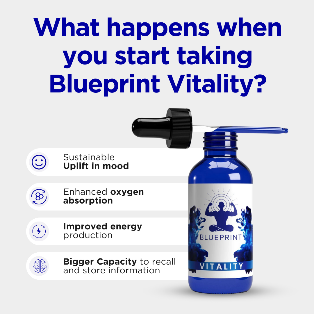 Vitality USP Methylene Blue 1% Solution